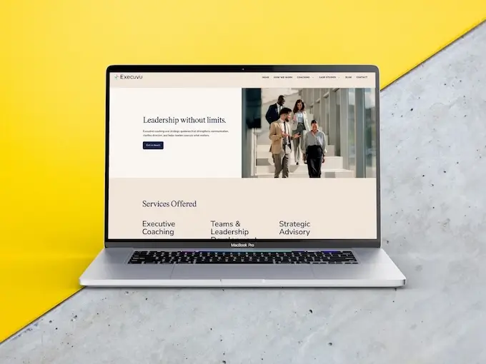 Image of Execuvu website